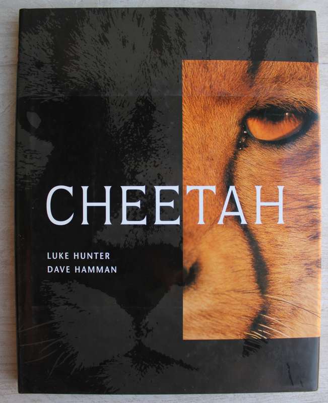 Cheetah by Luke Hunter & Dave Hamman