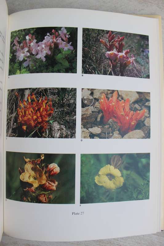 The Botany of the Southern Natal Drakensberg -  Hillard and Burtt