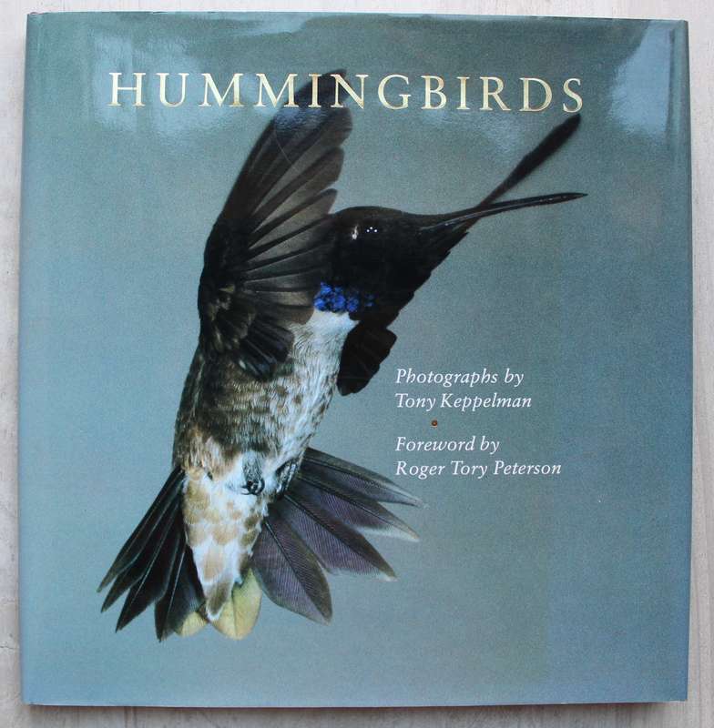 Hummingbirds - Keppelman