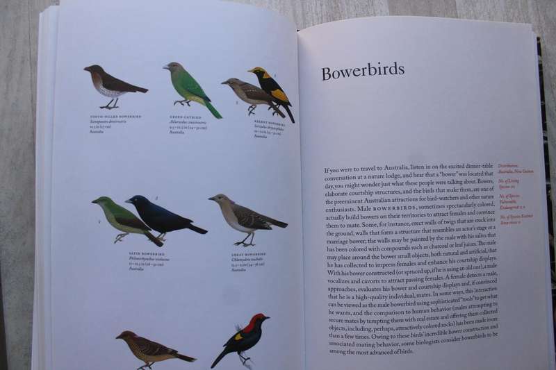 Collins Birds of the World / Beletsky