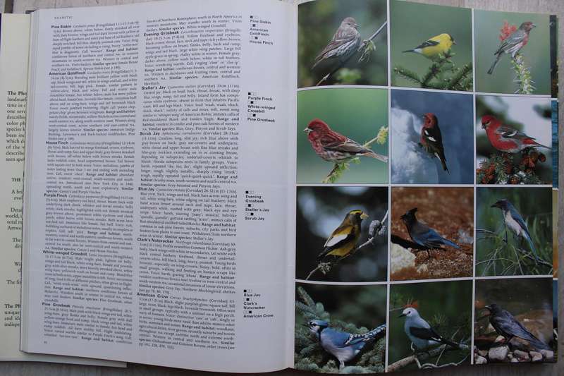 A Photographic Guide to Birds of the World / Gosler