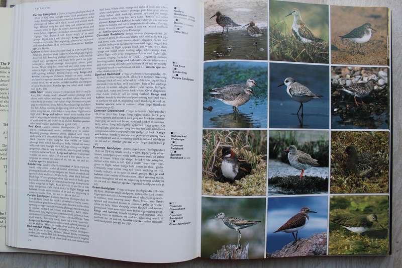 A Photographic Guide to Birds of the World / Gosler