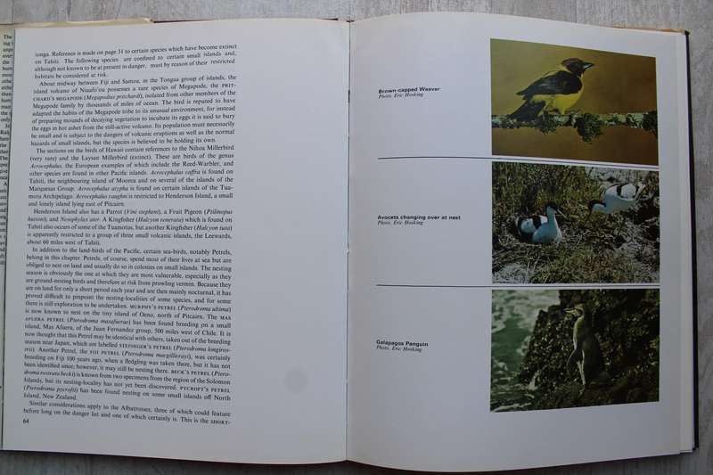 Birds at Risk - Whitlock
