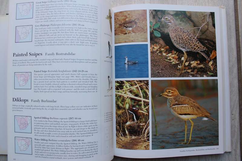Southern African Birds ~ A Photographic Guide by Ian Sinclair & Ian Davidson
