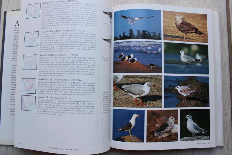 Southern African Birds ~ A Photographic Guide by Ian Sinclair & Ian Davidson