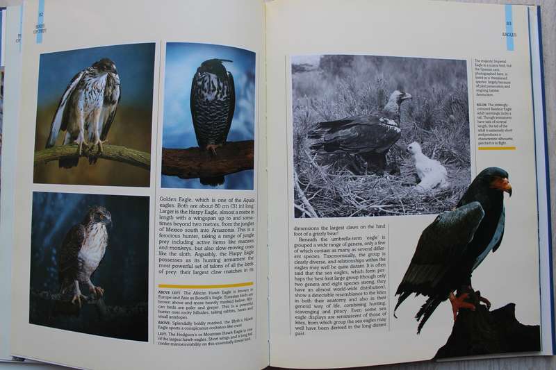 Eric Hosking's Birds of Prey of the World
