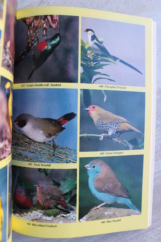 Birds of the Transkei - Quickelberge