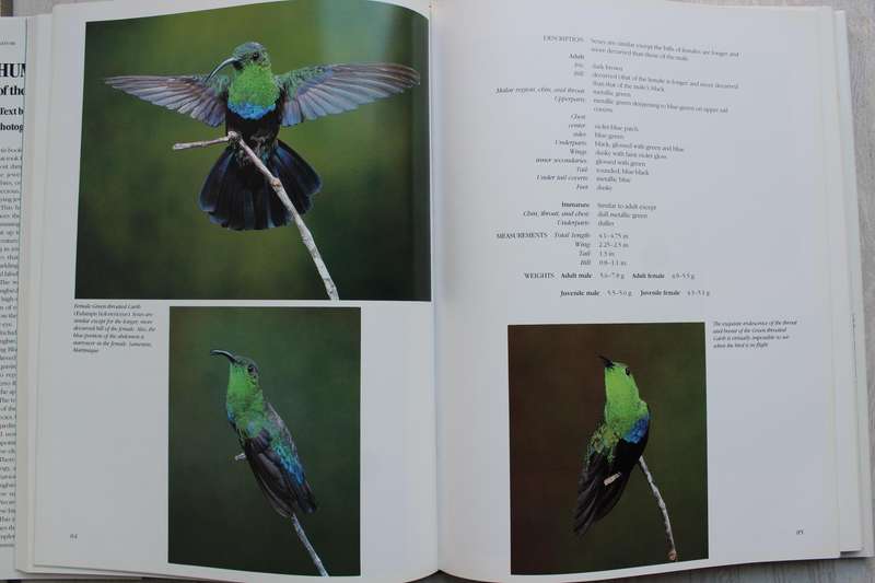 Hummingbirds of the Caribbean / Tyrrell
