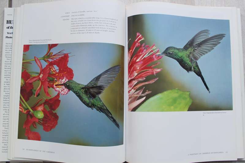 Hummingbirds of the Caribbean / Tyrrell