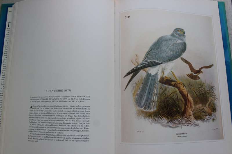 Raubvogel - Joseph Wolf / Die schonsten Natur-Grafiken
