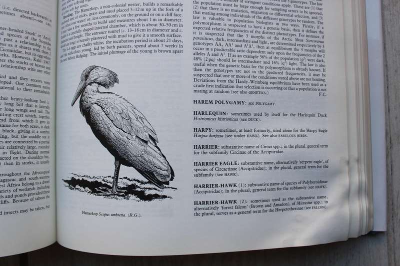 A Dictionary of Birds - Bruce Campbell (Author), Elizabeth Lack