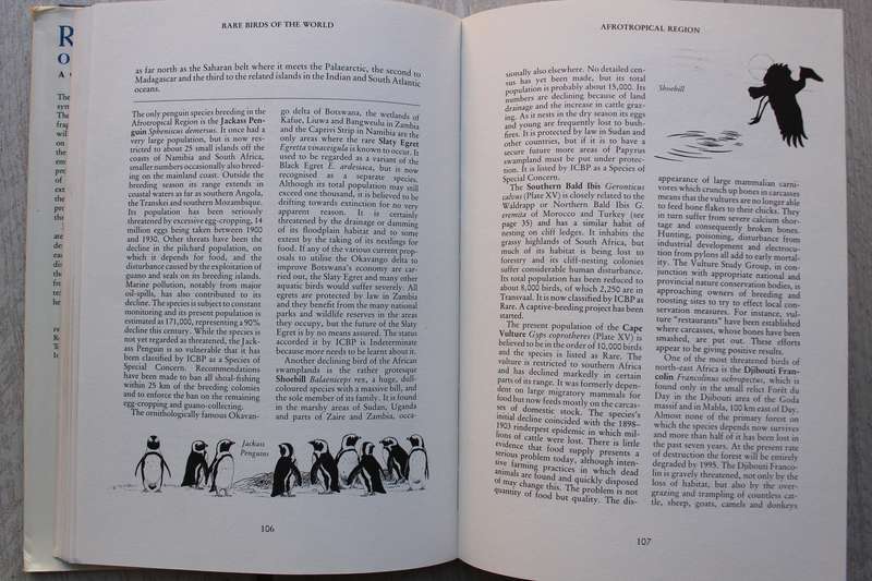Rare Birds of the World, A Collins handbook - Guy Mountfort