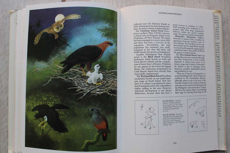 Rare Birds of the World, A Collins handbook - Guy Mountfort