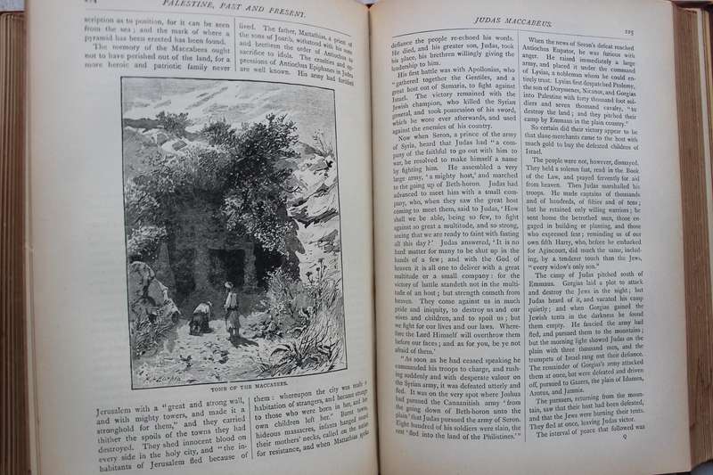 Palestine Past and Present. Pictorial and descriptive / Valentine