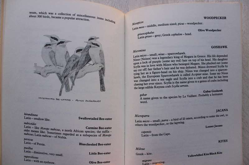 Southern African Bird Names Explained. Charles Clinning