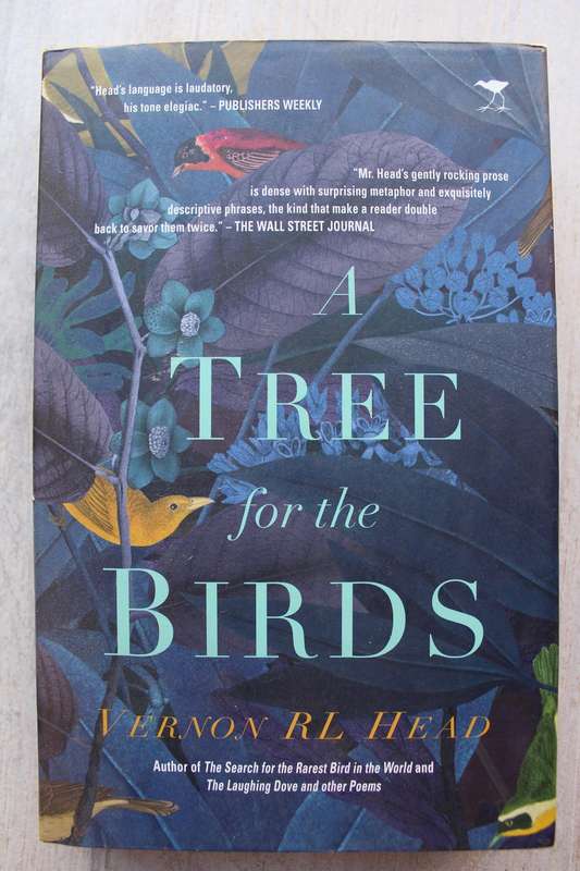 A tree for the birds - Vernon Head