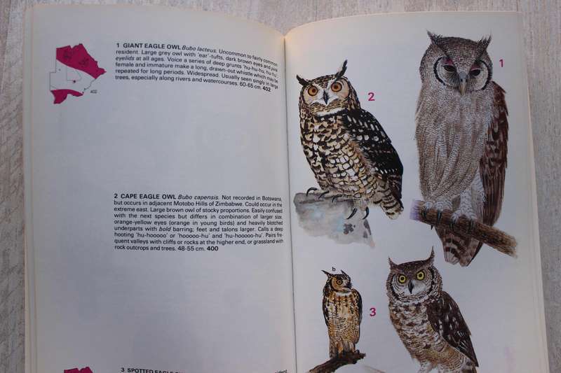 BIRDS OF BOTSWANA - Kenneth Newman