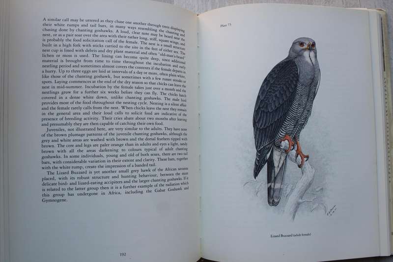 Birds of Prey of Southern Africa - Finch-Davies & Kemp (SIGNED)