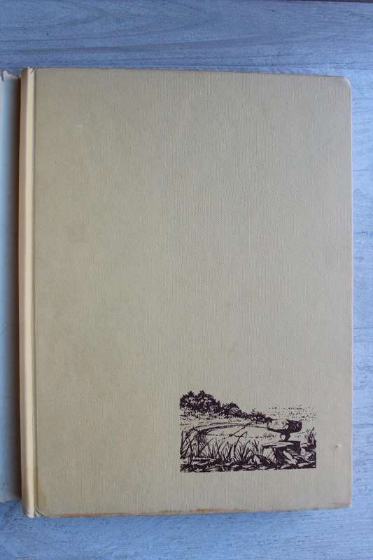 The Kalahari and its Lost City - Clement
