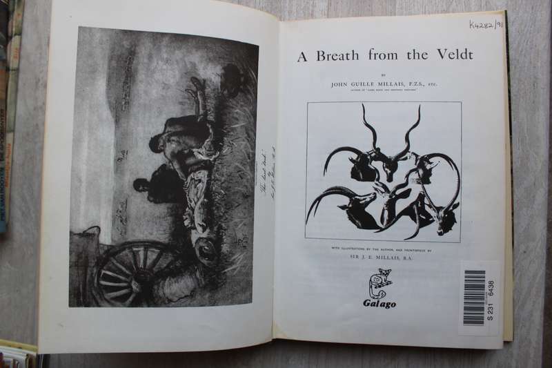 A Breath from the Veldt - J. G. Millais