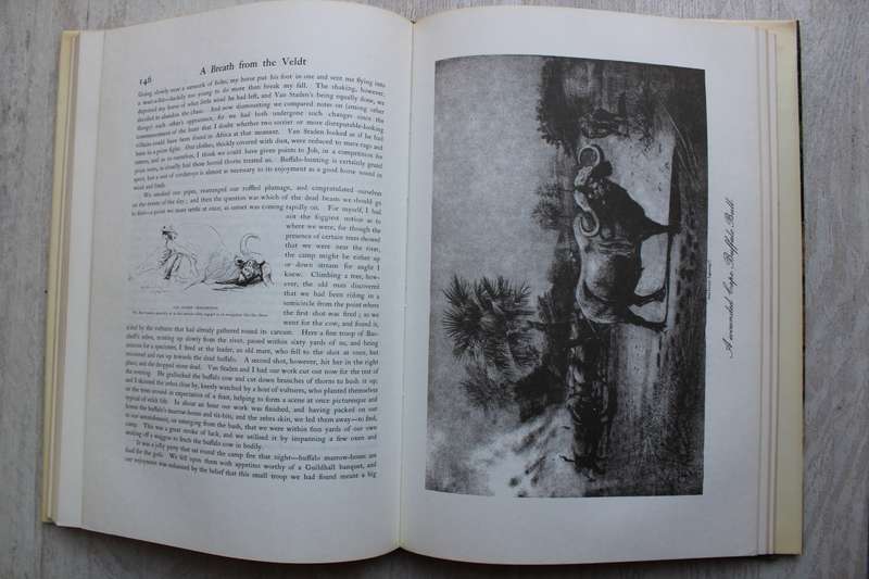 A Breath from the Veldt - J. G. Millais