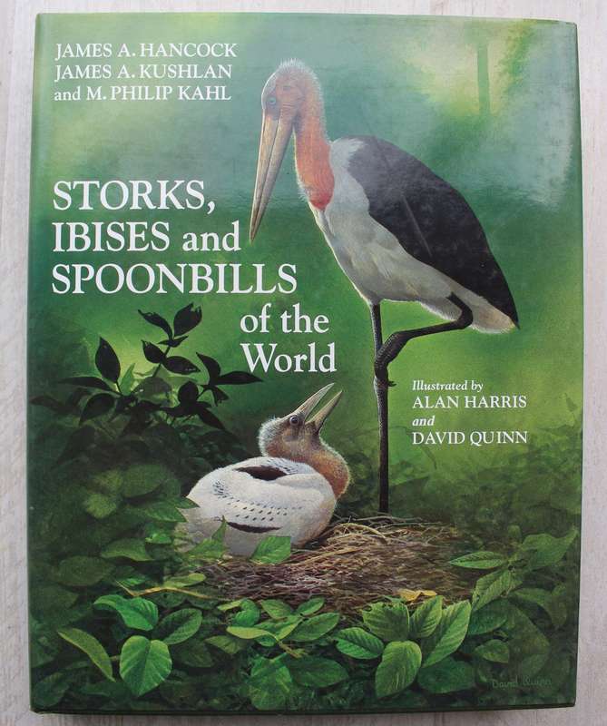 Storks, Ibises and Spoonbills of the World - Hancock