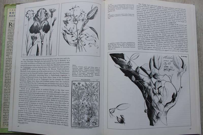 The Art of Botanical Illustration - Martyn Rix