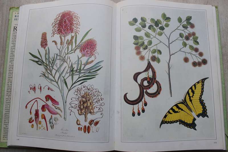 The Art of Botanical Illustration - Martyn Rix