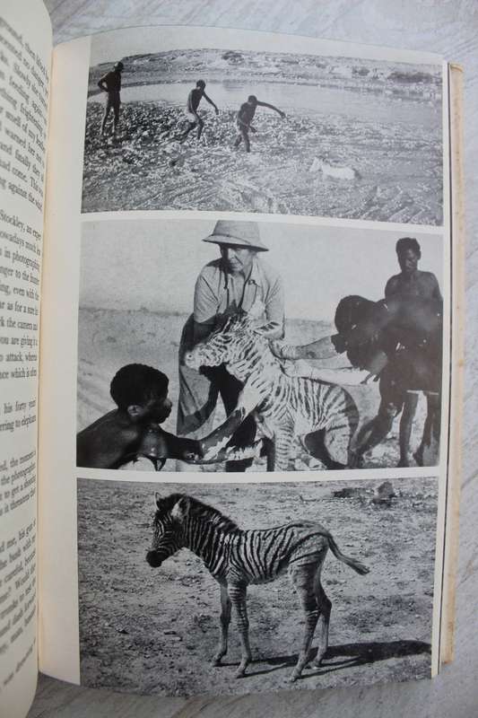Animal safari - Lutz Heck
