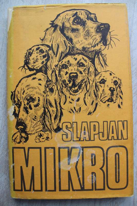 Slapjan - Mikro