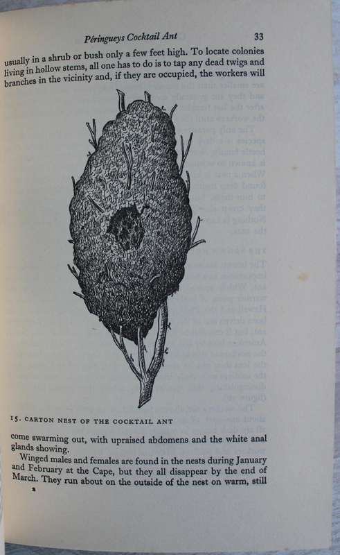 The study of Ants -  S.H. Skaife