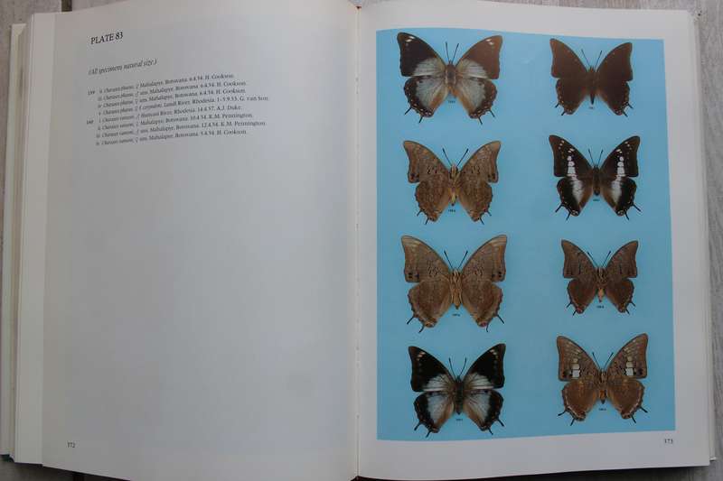 Pennington's Butterflies of Southern Africa - C G C Dickson and D M Kroon