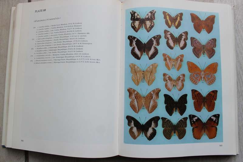 Pennington's Butterflies of Southern Africa - C G C Dickson and D M Kroon