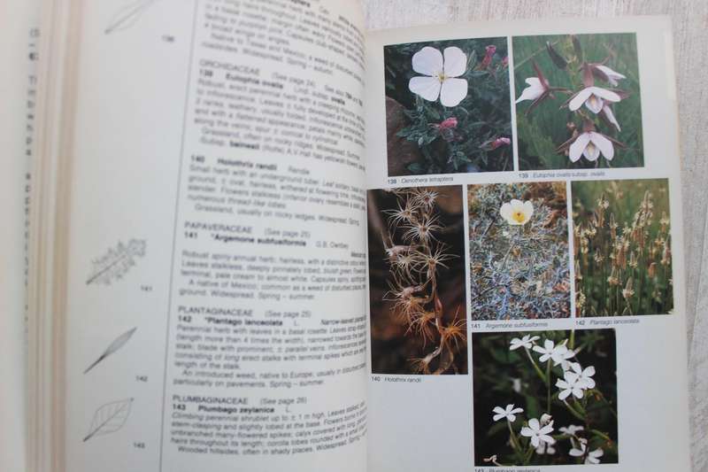 Field Guide to the Wild Flowers of the Witwatersrand and Pretoria Region - Braam van Wyk