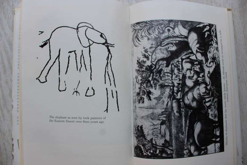 White Gold - The story of African Ivory / Wilson & Ayerst