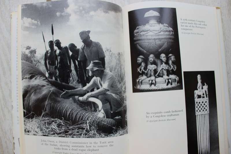 White Gold - The story of African Ivory / Wilson & Ayerst
