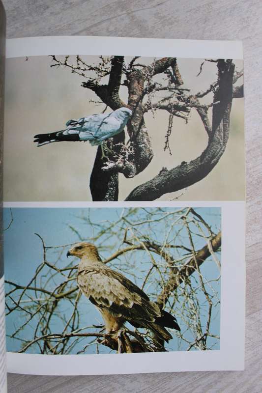 Eric Hosking's Birds - Fifty years of photographing wildlife