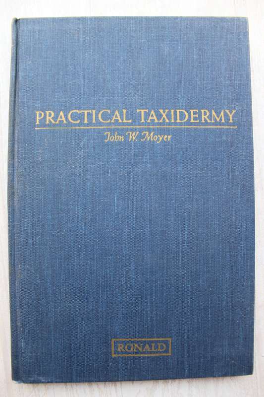 Practical Taxidermy - Moyer