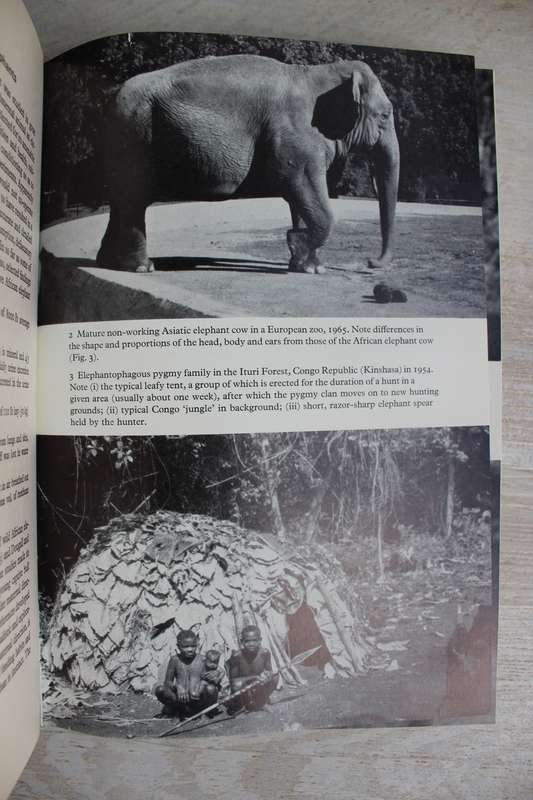 The Natural History of the African Elephant . Sylvia Sikes