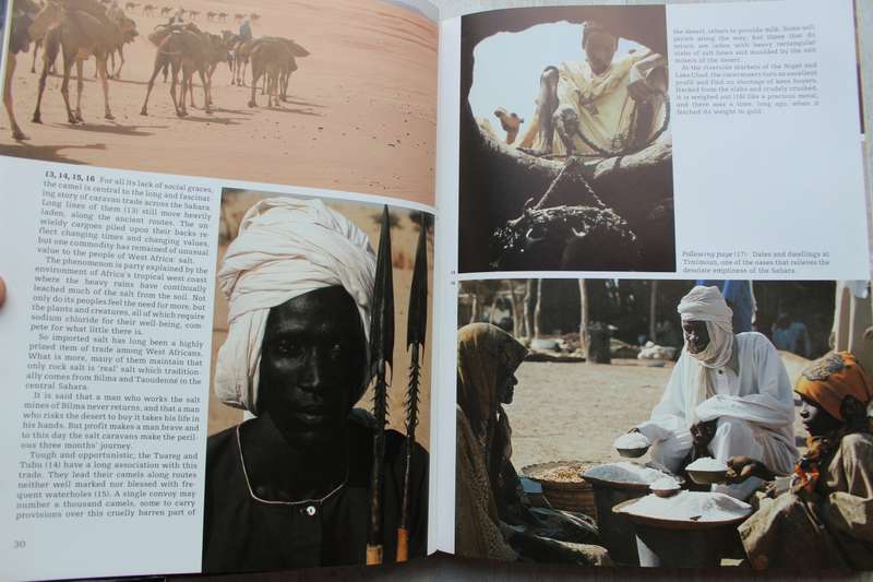 Africa: A Continent Revealed - Rene Gordon