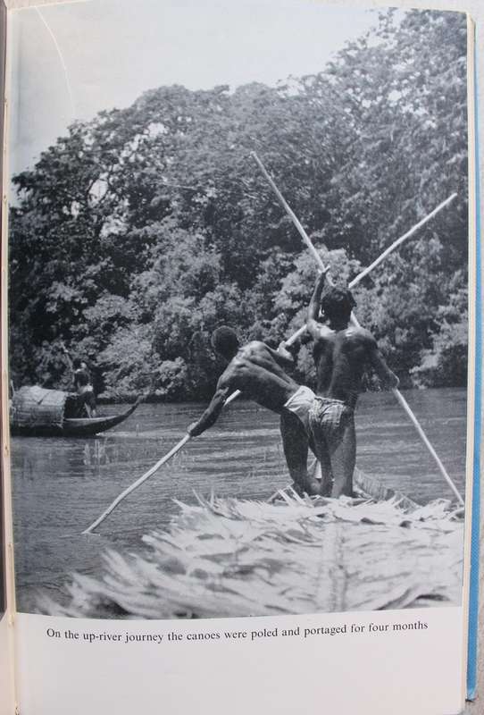 The Jungle and the Damned - Hassoldt Davis