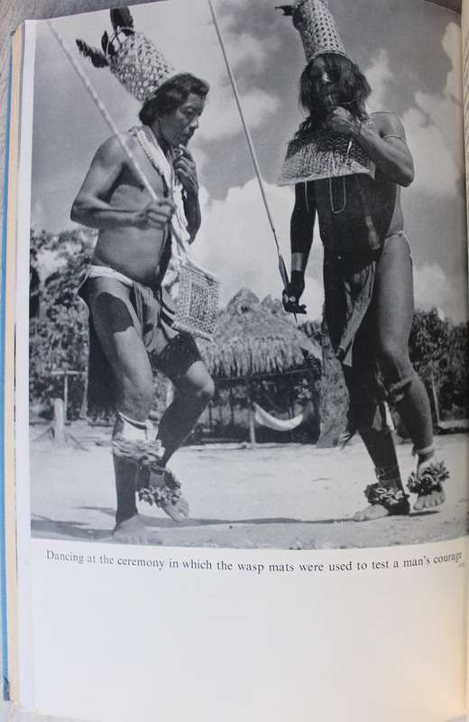 The Jungle and the Damned - Hassoldt Davis