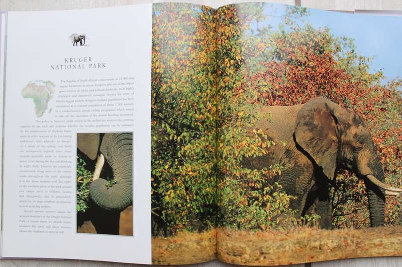 African Elephants - Daryl and Sharna Balfour