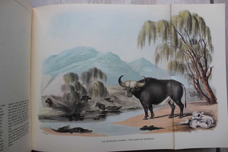 Portraits of the game & wild animals of Southern Africa - Cornwallis Harris, Captain W.