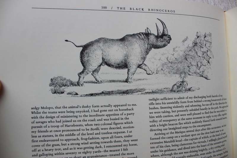 Portraits of the game & wild animals of Southern Africa - Cornwallis Harris, Captain W.