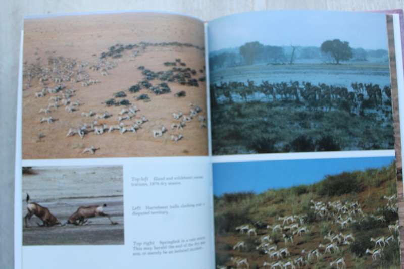 Guide to the KALAHARI GEMSBOK National Park by Gus Mills