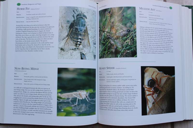 The Natural History of the British Islands - Briggs
