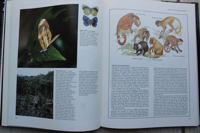 The Last Rain Forests: A World Conservation Atlas edited by Mark Collins
