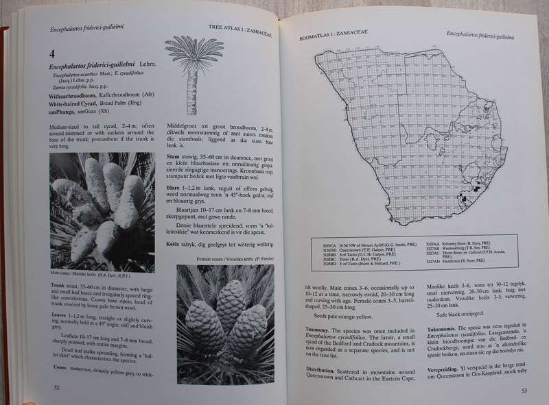 TREE ATLAS OF SOUTHERN AFRICA - BOOMATLAS VAN SUIDER AFRIKA Cycads