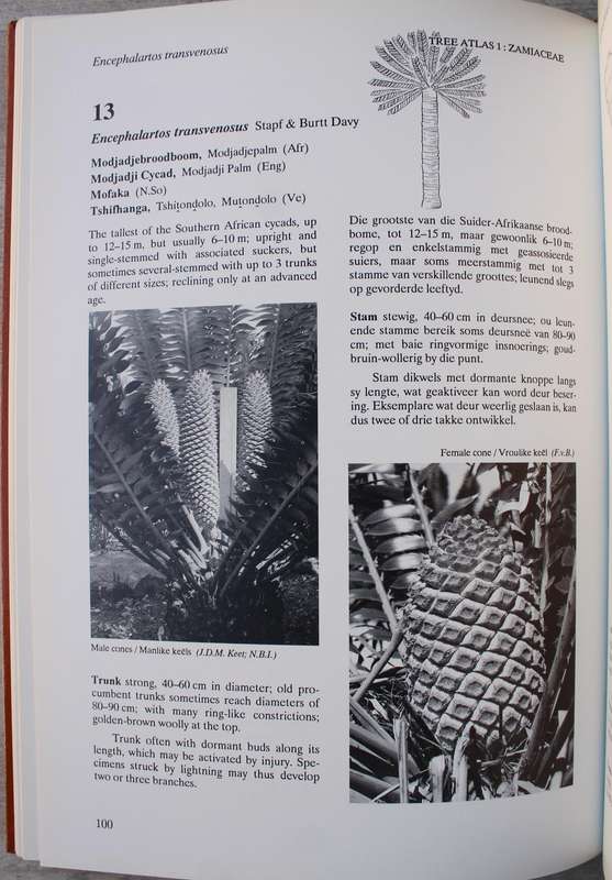 TREE ATLAS OF SOUTHERN AFRICA - BOOMATLAS VAN SUIDER AFRIKA Cycads